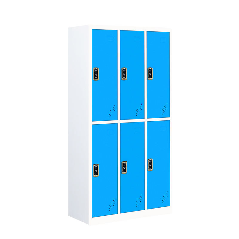 Lockers Gym 6 Door NOVO Design Cor do armário de aço Armário de armazenamento de metal para academia e escritório