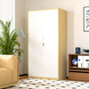 Escritório Aço 2 Portas Armário de Armário de Madeira como Arquivo Armário Metal Armazy Cupboard