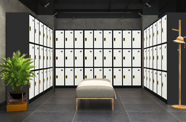 Lockers Gym 6 Door NOVO Design Cor do armário de aço Armário de armazenamento de metal para academia e escritório