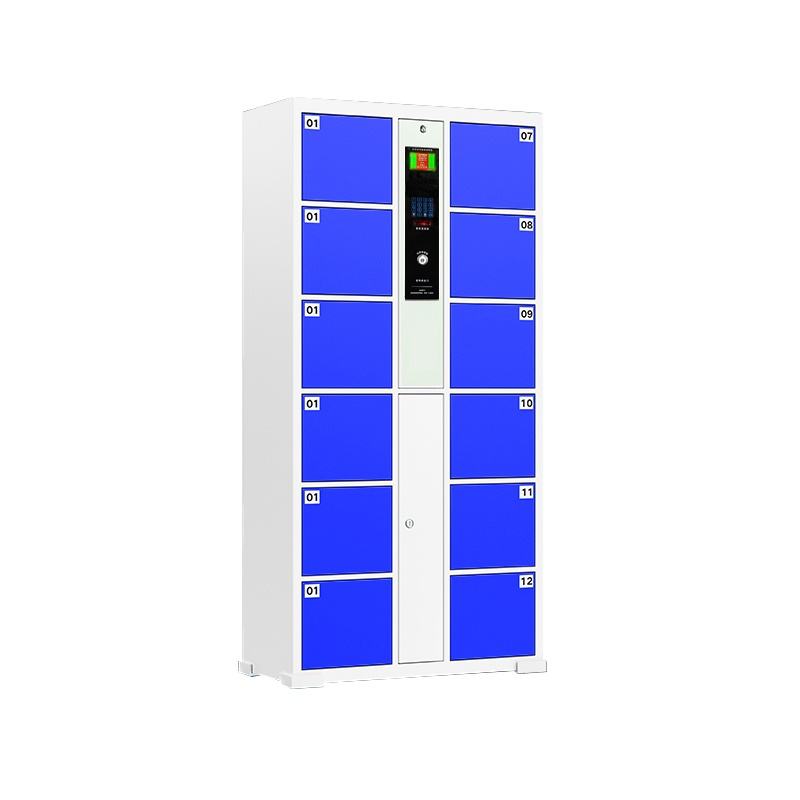 12 Portas Metal Electronic Smart Digital Imprint Locker, gabinete de entrega inteligente de encomendas, armazenamento seguro Armário da equipe de armazenamento